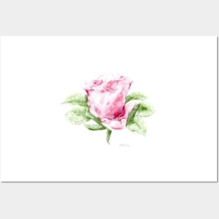 Pink dog rose Posters and Art